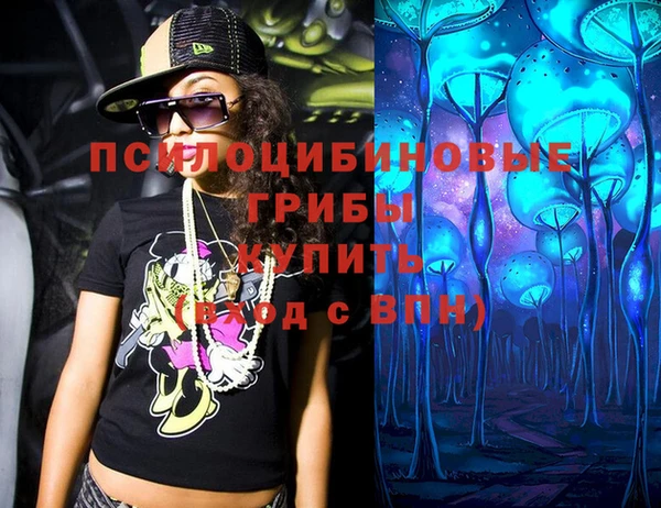 крисы Белоозёрский