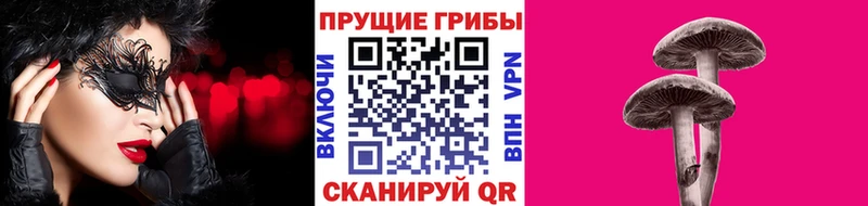 Галлюциногенные грибы Psilocybine cubensis  как найти   Плёс 